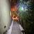 Charming Willow Glen Retreat – Furnished Room w/Private Bath Entrance 12 thumbnail