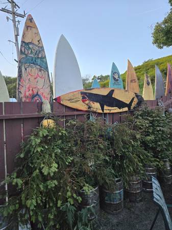 Upcycle Your Old Surfboards For Art 1