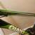 21 Speed GIANT REVEL 3 Mountain Bicycle 18 inch frame 2 thumbnail