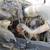 2004 F750 Ford Dump Truck S/A 14 thumbnail