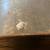 Antique Boiler Wash Laundry Tub & Lid Wood Handles Copper Bottom 12 thumbnail