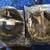 LMC 1967-68 Chevy Headlight Mounts (pair) 1 thumbnail