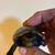 Three striped mud turtle 1 thumbnail