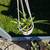 We Wet our Plants 8 thumbnail