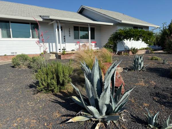 Fully furnished vineyard property on 10 acres with olive trees 1