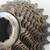 SRAM XG1190 11-Speed Road Cassette 11-25 - 254mi.! 4 thumbnail