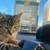 The Sweetest Little Dude in the Whole World (Found A Good Home) 6 thumbnail