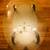 glass top two shelves coffee table 48x32x21H 1 thumbnail