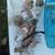 Lots of power tools welding supplies atv lift shop stuff 13 thumbnail