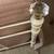 Beautiful queen, bedframe, like new, clean mattress, side table & lamp 11 thumbnail