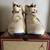 *DS* M Sz.7.5.. SoleFly x Jordan 8 Retro Mi Casa Es Su Casa.. $200obo 7 thumbnail