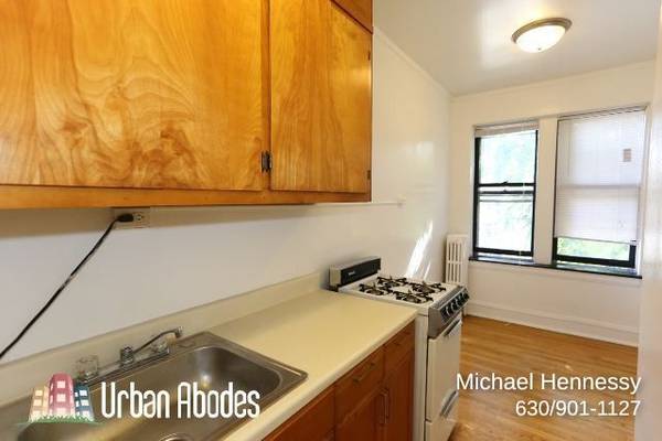 $1,250 / 400ft2 - Appealing Studio, 1 Bath in Ravenswood, Available: 11/1/2025 (Ravenswood)63898985676290124