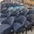 44 Barrel back swivel  task chairs 2 thumbnail