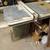 Table saw 1 thumbnail