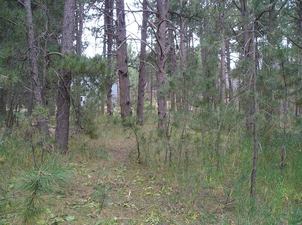 $162,000 building lot (Woodmoor Monument Colorado)63658129620993120