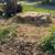 Stump grinding, new machine 2 thumbnail