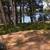 Maine-Pristine 9.5 Ac Cobscoot Bay with 565' Bay frontage 7 thumbnail