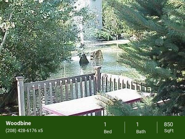 $1,510 / 1br - 850ft2 - Sauna, Patio or balcony, Sparkling pool, New Upgrades63981533379330123