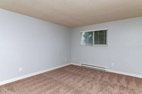 $1,675 / 2br - 832ft2 - ¡Ubicación conveniente de 2 habitaciones / 1 baño! 832 pies cuadrados. ¡Transporte cercano! (Tigard)63831537364609122