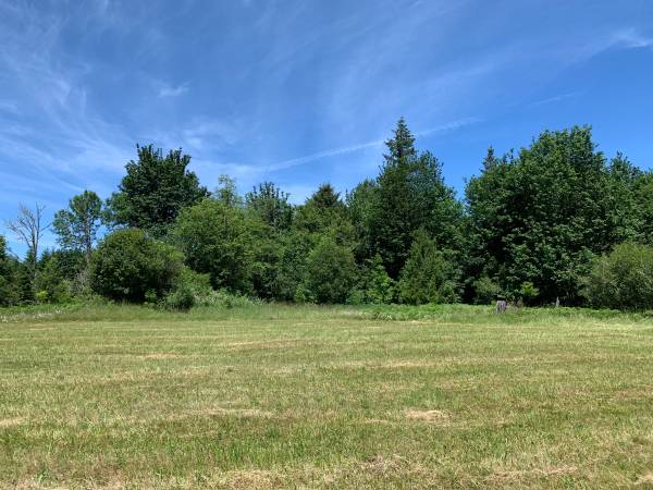 $160,000 2.25 Acres: Semi-prepped for Build! (One of Two 2.25-acre lots) (Toutle, WA)64150331911041122