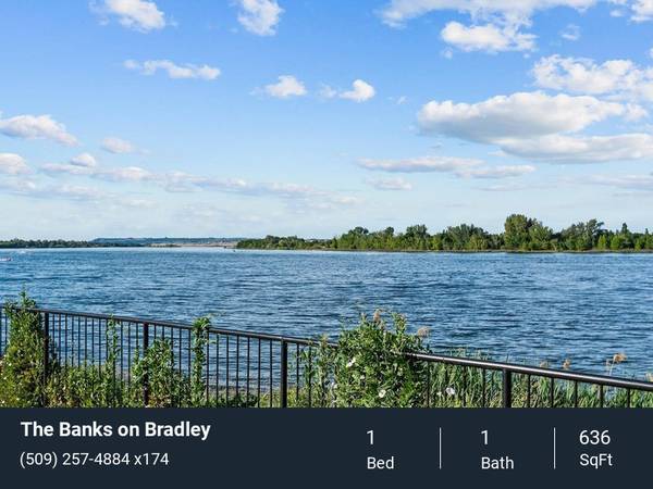 $1,641 / 1br - 636ft2 - Slow Closing Custom Cabinetry, Pet Spa, Outdoor Swimming Pool (Richland)63698312326145121