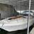 Rinker Fiesta Vee 300 - Toad Cove Yacht Club 6 thumbnail