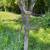 Antique Hand Water Pump 1 thumbnail