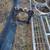 1968 Ford Torino Fairlane grill 5 thumbnail