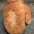 Antique / Vintage / Old Child's Boxing Glove - Right Hand Only 2 thumbnail