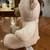 Like New Cream and Brown Colored Build a Bear Teddy Bear with Backpack 3 thumbnail