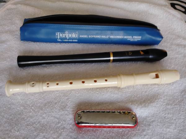 FLUTES AND HARMONICA 1