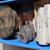 2001 KEINS KB-30 ND CNC TUBE MACHINERY 22 thumbnail