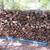 Firewood 1 thumbnail
