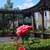 1BD 1BA, Large storage space/closets, Gym (new equipment) 4 thumbnail