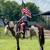 Horses 11 thumbnail