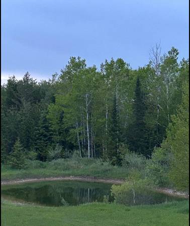 $375,000 / 3br - 1680ft2 - Hobby Farmer and Hunter’s Dream in Northern MI (Alpena)64308160399618123