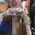 Bardwell McAlister 2000 Watt Fresnel Spot + Sturdy Rolling Tripod. 5 thumbnail