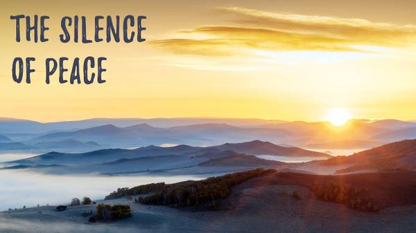 R U A  WOMAN ISO A COMFY CONDO W/A TON OF AMENITIES?   $800/month 1