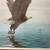 Don Balke Framed Eagle Wildlife Print 4 thumbnail