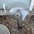 Bird feeder cover 1 thumbnail