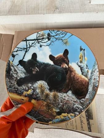 Collectible plates (over 50) 1