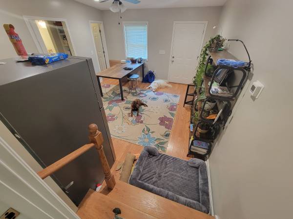 $1,300 / 1br - 600ft2 - Sublet/Lease take over - cute 1br1bth in Normaltown! (Athens)63792066144259122