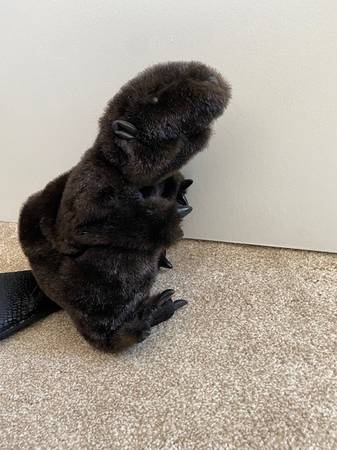 Folkmanis beaver puppet 1