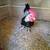 Bantam Pullets (young hens) 2 thumbnail