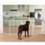 No Pawblems Free Standing Dog Gate with Door, 30'' Tall Foldable Dog Fence 2 thumbnail