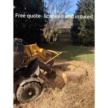 C' VILLE STUMP GRINDING / REMOVAL Starting @ $125!!! 1
