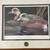 California Waterfowl framed prints 9 thumbnail