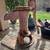 Antique farm hand pump 2 thumbnail