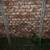 Chain link gate 32in. Wide 8 thumbnail