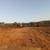 Excavating /Fire trails/ Vineyard ag Services/Dozer Work 21 thumbnail